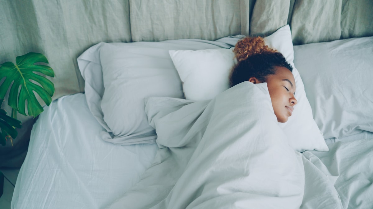Brain activity during sleep